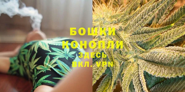 сатива Алзамай