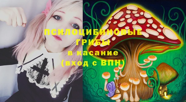 spice Абинск