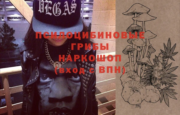 МДПВ Абдулино