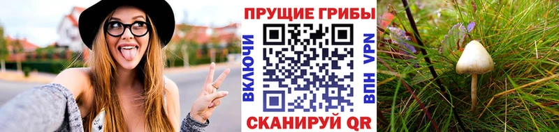 Галлюциногенные грибы мухоморы  omg вход  Рыбное 